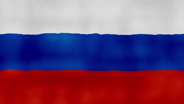 Russland Flagge Schwenkendes Tuch Perfect Looping Vollbild Animation Auflösung Mp4 — Stockvideo