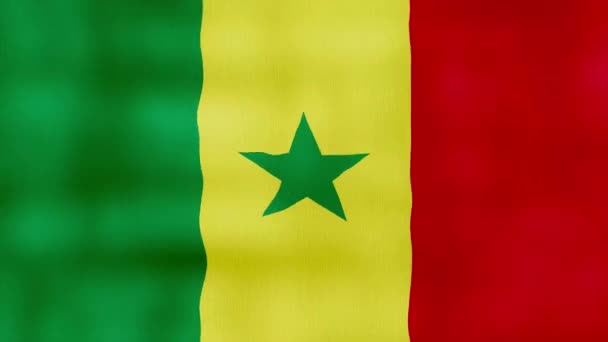 セネガルの旗は布を振ります 完璧なループ フルスクリーンアニメーション4K解像度 Mp4 — ストック動画