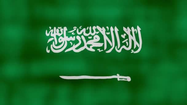 Флаг Саудовской Аравии Ткань Perfect Looping Полноэкранная Анимация Mp4 — стоковое видео