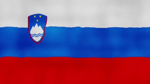 Szlovénia Zászló Hullámzó Ruha Perfect Looping Teljes Képernyős Animáció Resolution — Stock videók