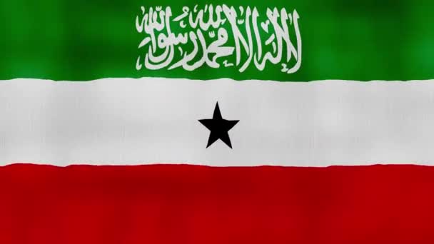 索马里兰国旗挥动布线完美 全屏动画4K解析度 — 图库视频影像