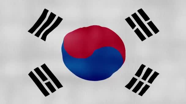 韩国国旗挥布完美回圈 全屏动画4K解像度 — 图库视频影像