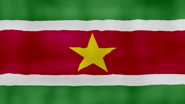 Suriname Flag Integető Ruha Perfect Looping Teljes Képernyős Animáció Resolution — Stock videók
