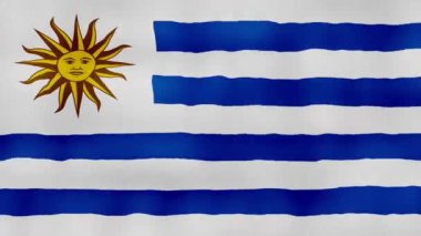 Uruguay Bayrağı Sallayan Kumaş Mükemmel Döngü, Tam Ekran Canlandırma 4K Çözünürlük mp4