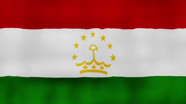 Tadschikistan Flagge Wehen Tuch Perfekte Looping Vollbild Animation Auflösung Mp4 — Stockvideo