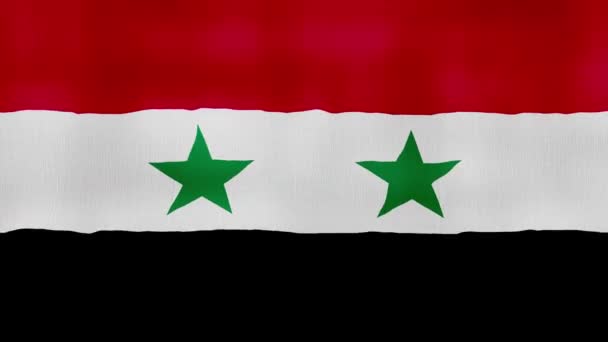 Syrien Flagge Schwenken Tuch Perfekte Looping Vollbild Animation Resolution Mp4 — Stockvideo