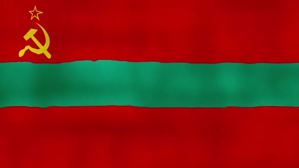 Transnistria Flag Mávání Tkaniny Perfect Looping Full Screen Animace Resolution — Stock video