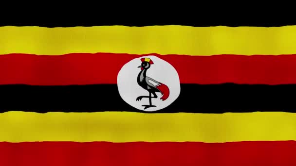 Uganda Flag Mávání Tkaniny Perfect Looping Full Screen Animace Resolution — Stock video