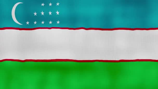 Узбекистан Прапор Махаючи Тканиною Ідеальна Петля Повний Екран Анімації Роздільна — стокове відео