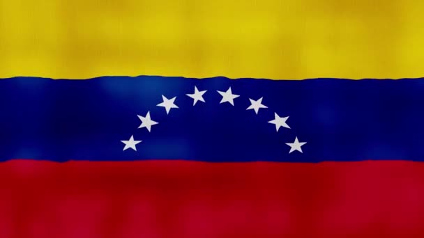 Venezuela Flagge Schwenken Tuch Perfekte Looping Vollbild Animation Auflösung Mp4 — Stockvideo