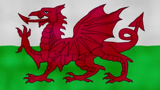 Wales Bendera Melambaikan Kain Sempurna Looping Layar Penuh Animasi Resolution — Stok Video