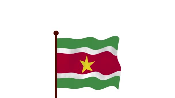 苏里南动画视频升起国旗 介绍国名和国旗4K — 图库视频影像