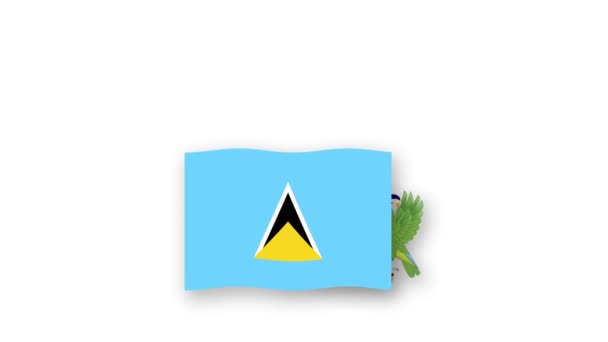 圣卢西亚动画视频升起国旗和国徽 介绍国名国高分辨率 — 图库视频影像