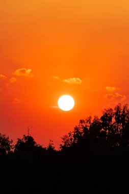 Siluetli Ağaçlarla Turuncu Gün Doğumu