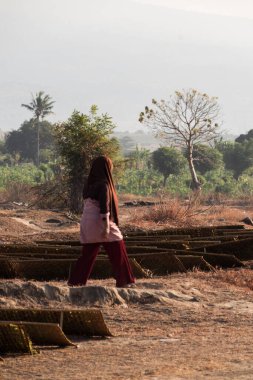 Tütün çiftçileri, 18 Haziran 2024 'te Lombok, Endonezya' da çekilmiş açık havada dilimlenmiş tütün yapraklarını kurutuyorlar.