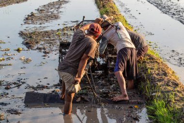 Çiftçi tarlasını bir traktörle sürüyor. Arka plan.