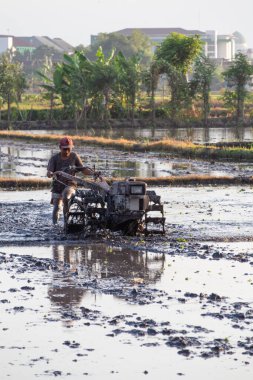 Batı Lombok, Endonezya - 23 Haziran 2024: Çiftçi tarlasını bir traktörle sürüyor