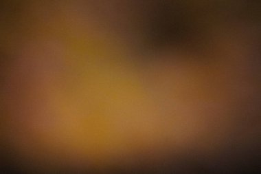 Koyu kahverengi renk gradyan soyut arkaplan, gürültü dokusu efekti