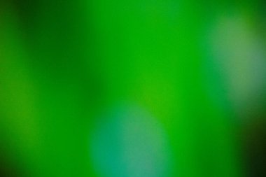 Koyu yeşil renk gradyan soyut arkaplan, gürültü dokusu efekti