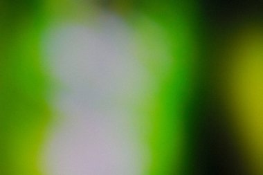 Koyu yeşil renk gradyan soyut arkaplan, gürültü dokusu efekti