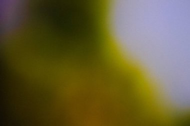 Koyu yeşil renk gradyan soyut arkaplan, gürültü dokusu efekti