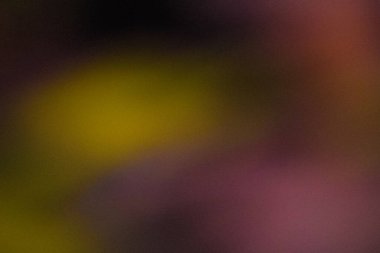 Tahıllı koyu sarı renk gradyan soyut arkaplan, gürültü dokusu efekti