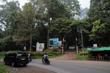 Lombok, 9 Mart 2024 - Pusuk Ormanı 'ndaki Gedong tepesinde, Sembalun, Lombok, Endonezya