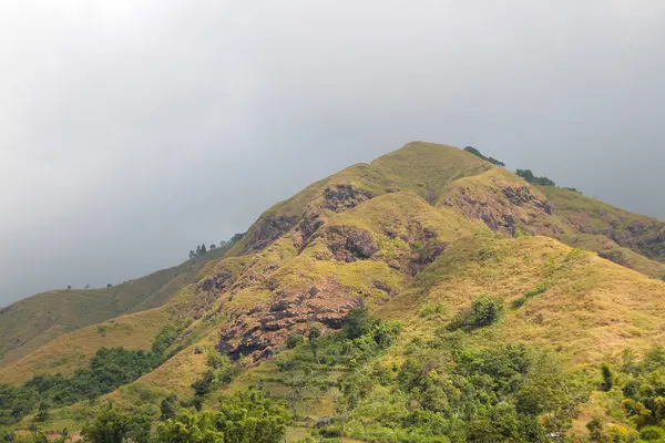 stock image Sembalun Hills, West Nusa Tenggara, Indonesia