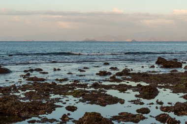 Akşamları mercan kayalık kıyılarında alçak gelgitte atmosfer