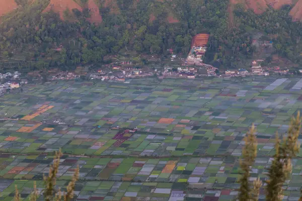 stock image View of Sembalun village with a thin mist in the morning