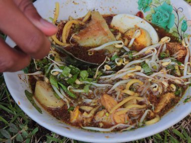 Bir kase soto. Tipik bir Endonezya yemeği. Parçalanmış tavuk ve sebze soslu.