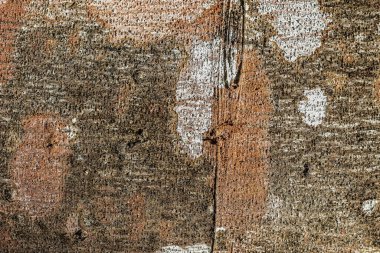 Ağaç kabuğu dokusunu kapat