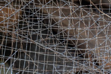 Paslı ve yıpranmış Çelik Izgara Çit arka plan dokusu