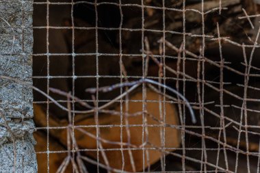 Paslı ve yıpranmış Çelik Izgara Çit arka plan dokusu