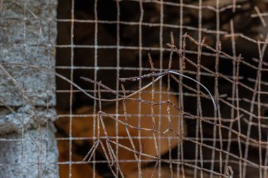 Paslı ve yıpranmış Çelik Izgara Çit arka plan dokusu