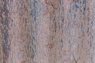 Paslı çinko duvarın dokusu havadan eskimiş.