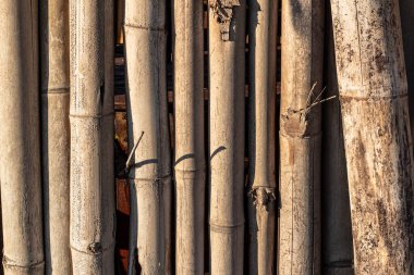 Arkaplan için bambu duvar dokusu