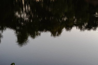 Gökyüzü ve ağaçların yansımasıyla sudaki yansıma.