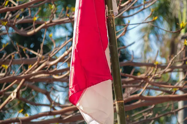 stock image Indonesia's white flag flies on the flagpole