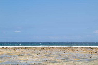 Endonezya 'nın gili Trawangan adasındaki bir plajda taş koleksiyonu.