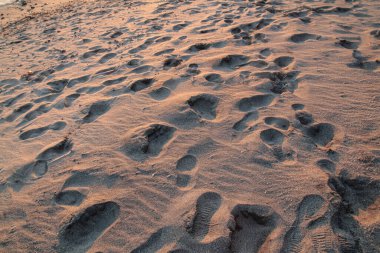 Kumsaldaki kumda ayak izleri.