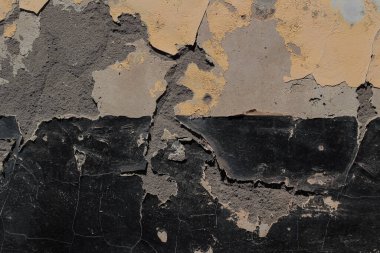 Sökülen Boya ve Alçıyla Ciddi Hasarlı Duvar