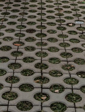 Çevre dostu Pavyon - Çimenler Beton Birleştirici Bloklar Arasında Büyüyor