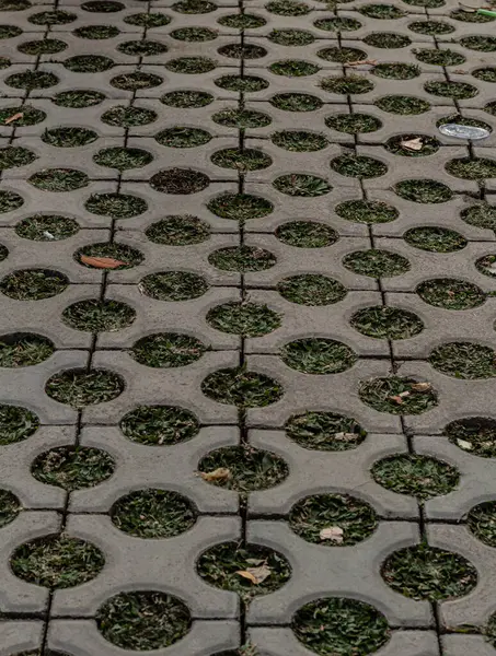 Çevre dostu Pavyon - Çimenler Beton Birleştirici Bloklar Arasında Büyüyor