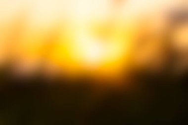 Gün Doğumu Glosunun Yumuşak Bulanık Arkaplanı