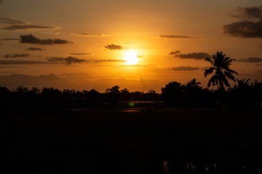 Kırsal Arazi Üzerinde Altın Gün Batımı Silueti