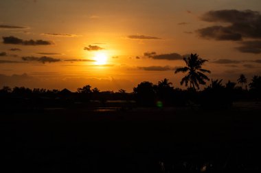 Kırsal Arazi Üzerinde Altın Gün Batımı Silueti