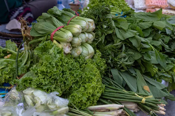 Marke 'da taze yeşil yapraklı sebzeler