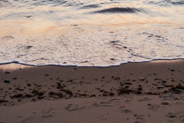 Okyanus Dalgalarının Yakından Görüntüsü Gün batımında Kum Sahil Şeridine Nazikçe Kapanıyor
