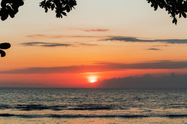 Siluetli sahil ağaçları tarafından çerçevelenmiş sakin okyanusun üzerinde tropik gün batımı